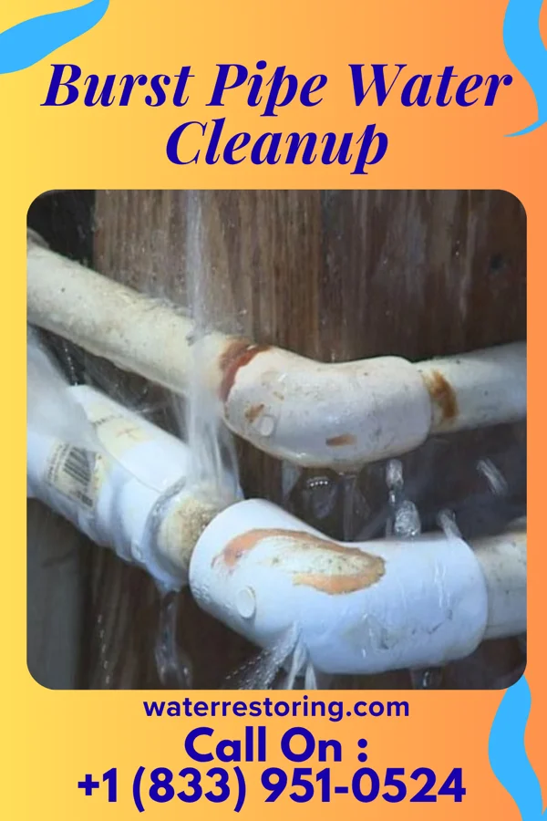 Burst Pipe Water Cleanup in Henderson, IA