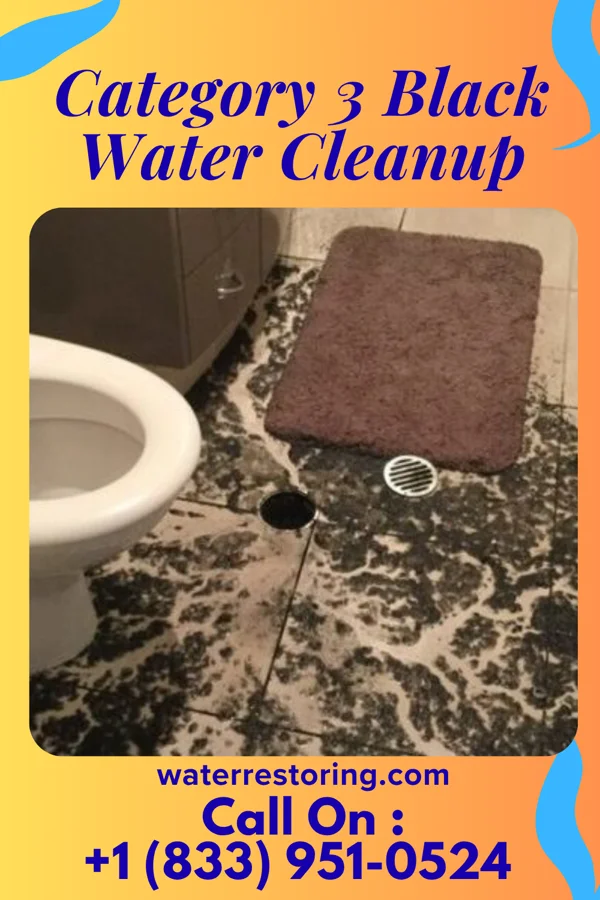 Category 3 Black Water Cleanup in Henderson, IA
